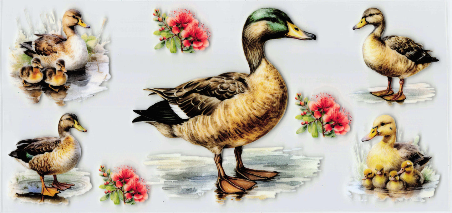 Mallard Tumbler Wrap #411